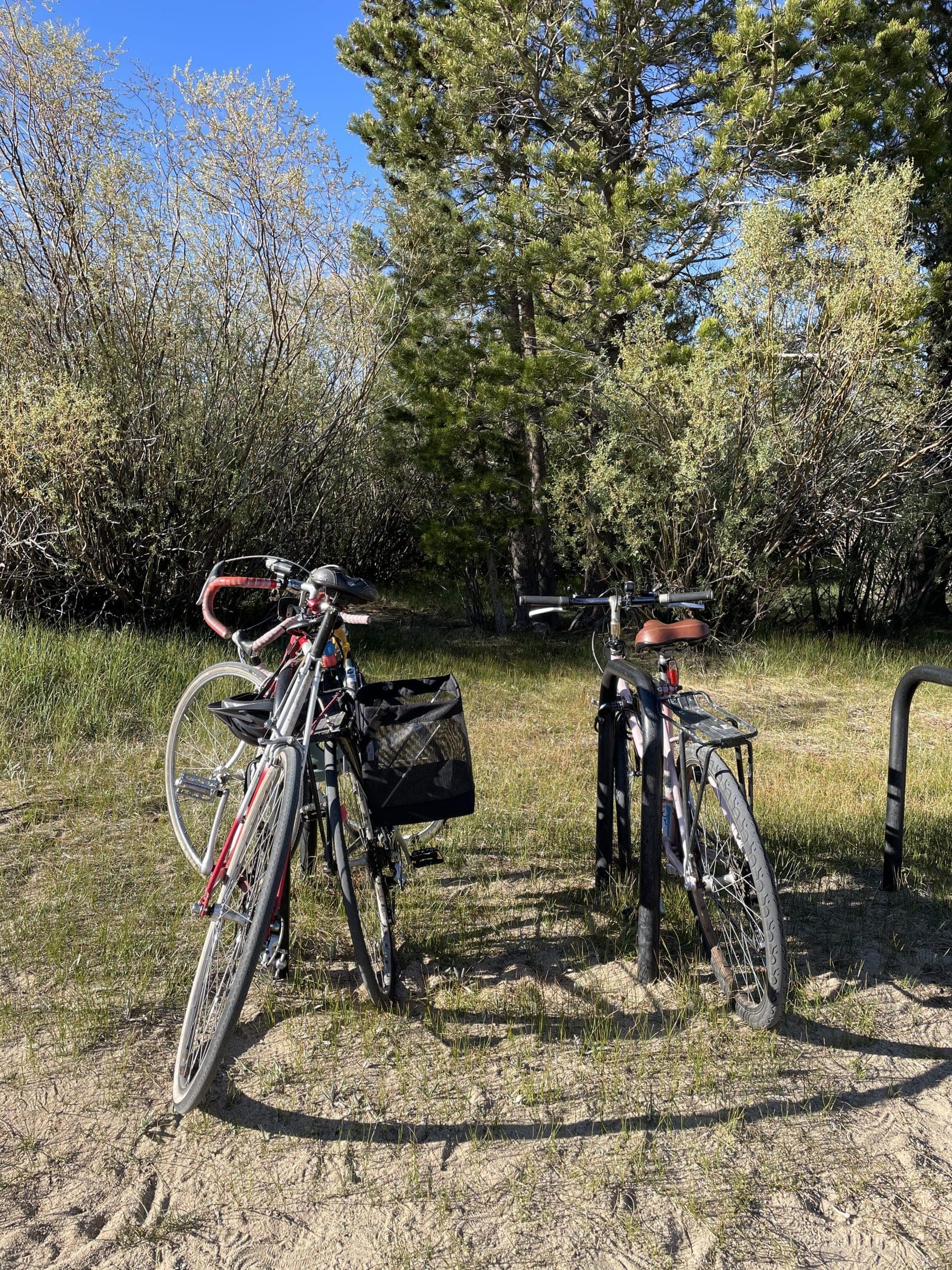 A new inverted-U bike rack installed at Cove East